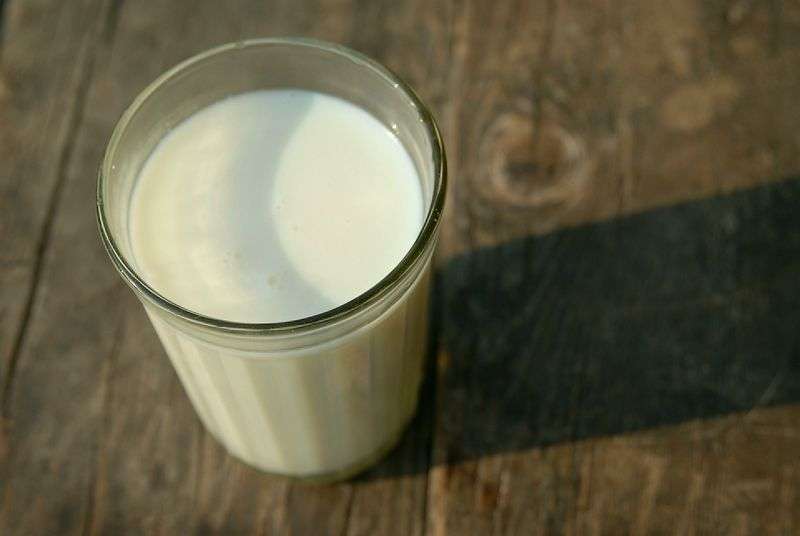 Россельхознадзор рассказал об антибиотиках в молоке «Простоквашино»