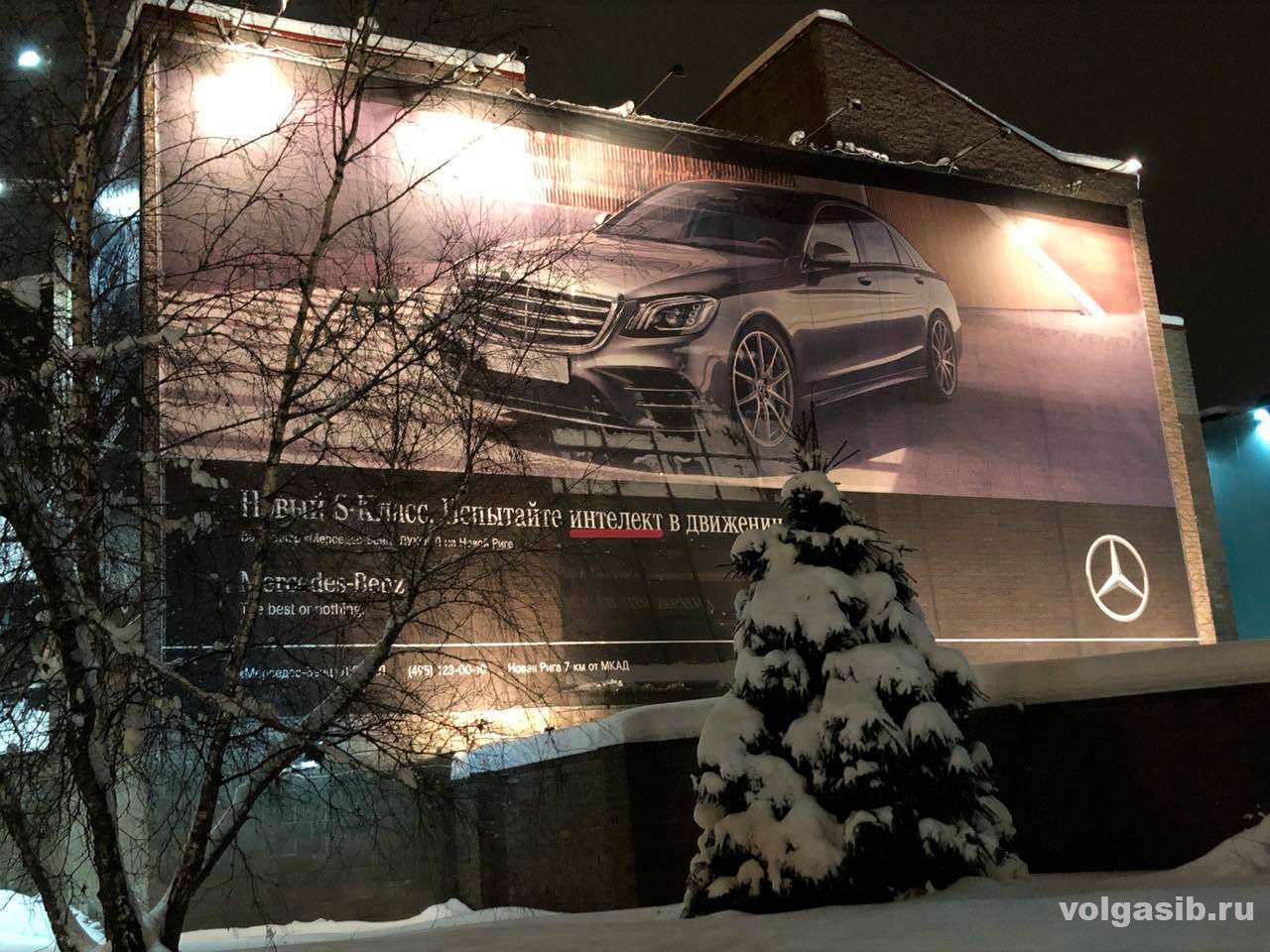 Дилеры Mercedes Россия удивили всех своим «интелектом»
