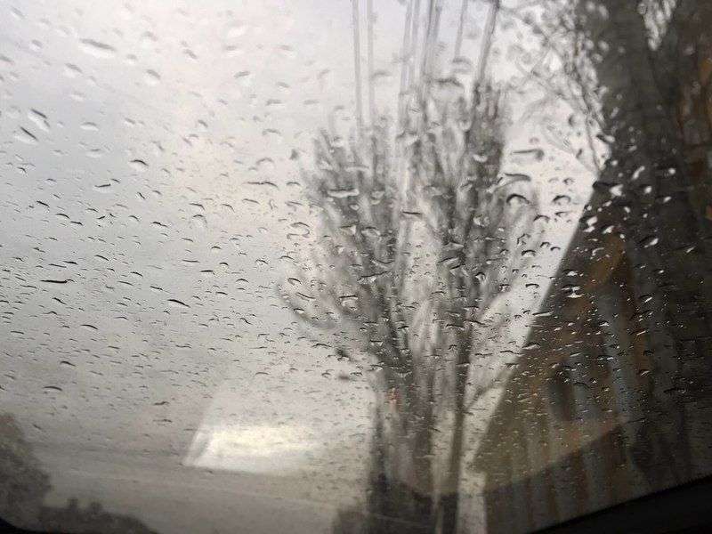 До конца недели в Волгограде будут идти дожди