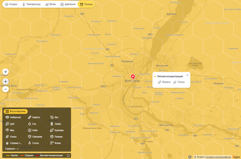 На Яндекс.Погоде появилась карта пыльцы для волгоградских аллергиков 