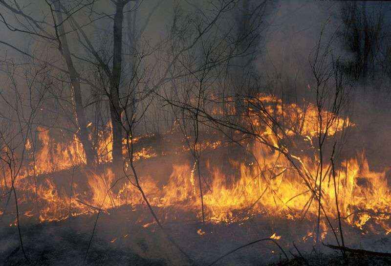 МЧС предупреждает о чрезвычайной пожароопасности