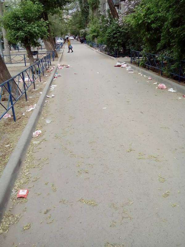  Центр Волгограда утонул в мусоре после праздников