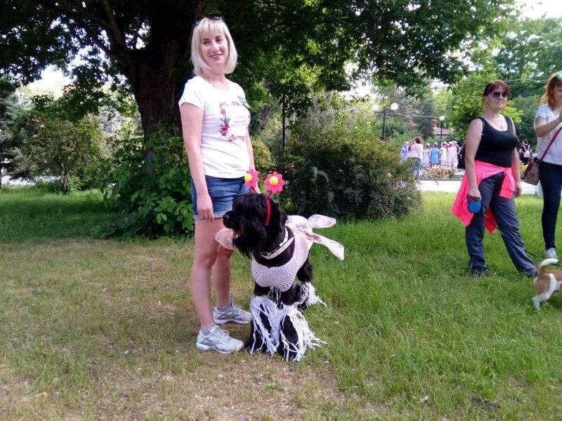 В Волгограде собаки с харизмой устроили модный показ
