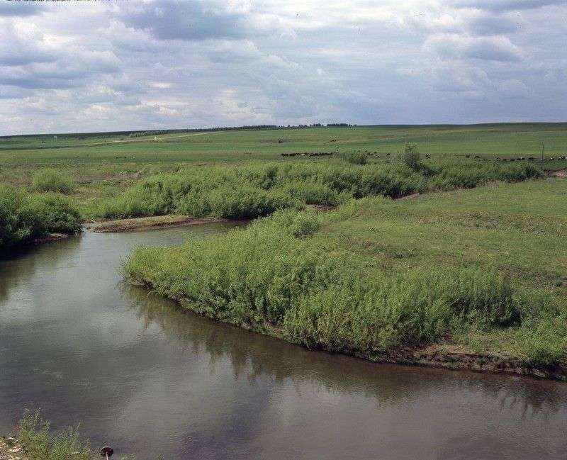 Вынесен приговор оставившему тонуть в реке 17-летнюю девушку жителю Волгоградской области