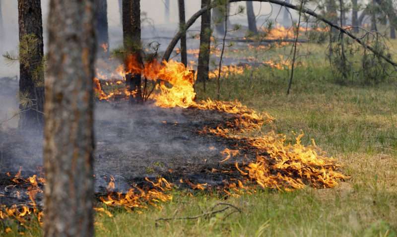 МЧС сообщило о чрезвычайной пожароопасности в регионе