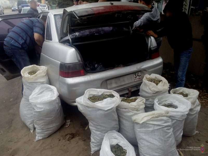 Волгоградские полицейские остановили “десятку”,  набитую марихуаной