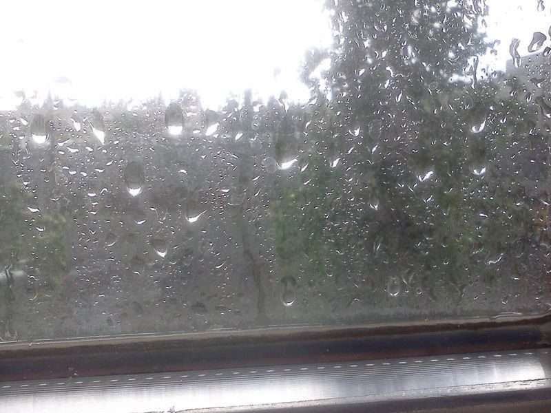 В Волгограде пройдет дождь с грозой