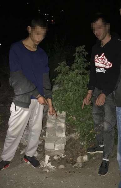 В Волгограде полиция задержала двух молодых сбытчиков наркотиков
