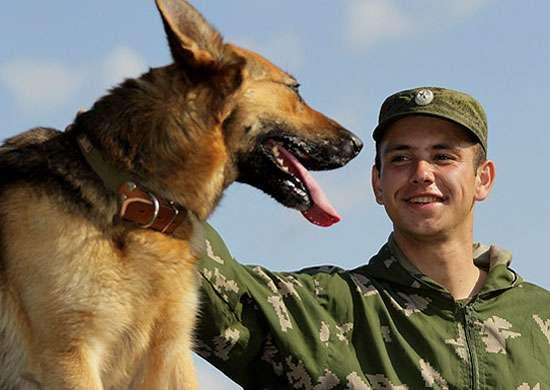 Подмосковные караульные собаки поступили на службу военным Волгоградской области