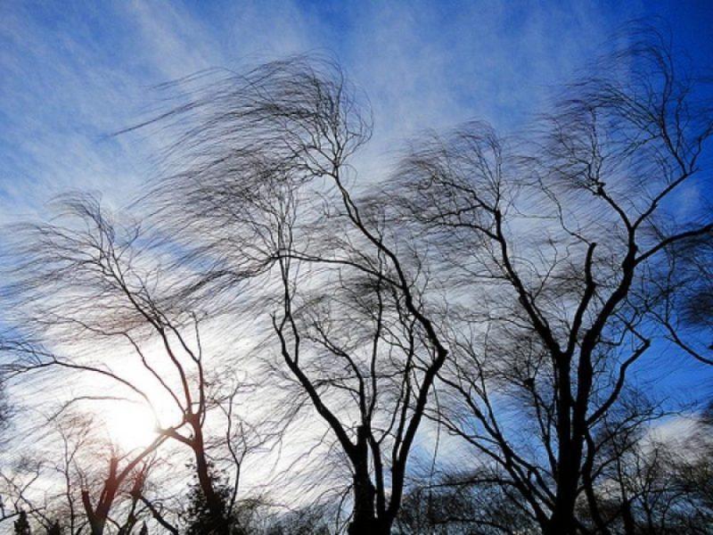 Страшный ветер поднимется в Волгоградской области