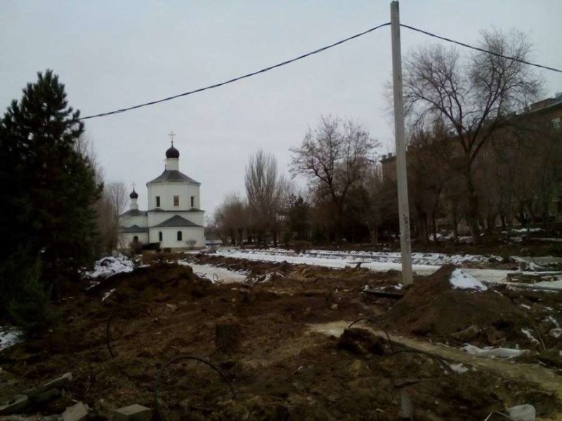 При благоустройстве в Волгограде вырубаются плохие деревья