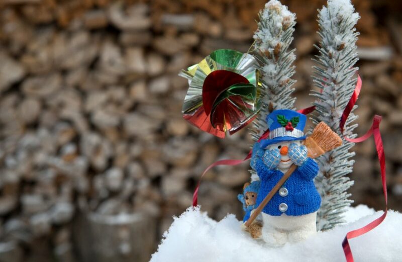 Волгоградцев приглашают посмотреть на авторских снеговиков