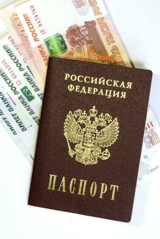 В Волгограде задержали 20-летнего мужчину с поддельным паспортом