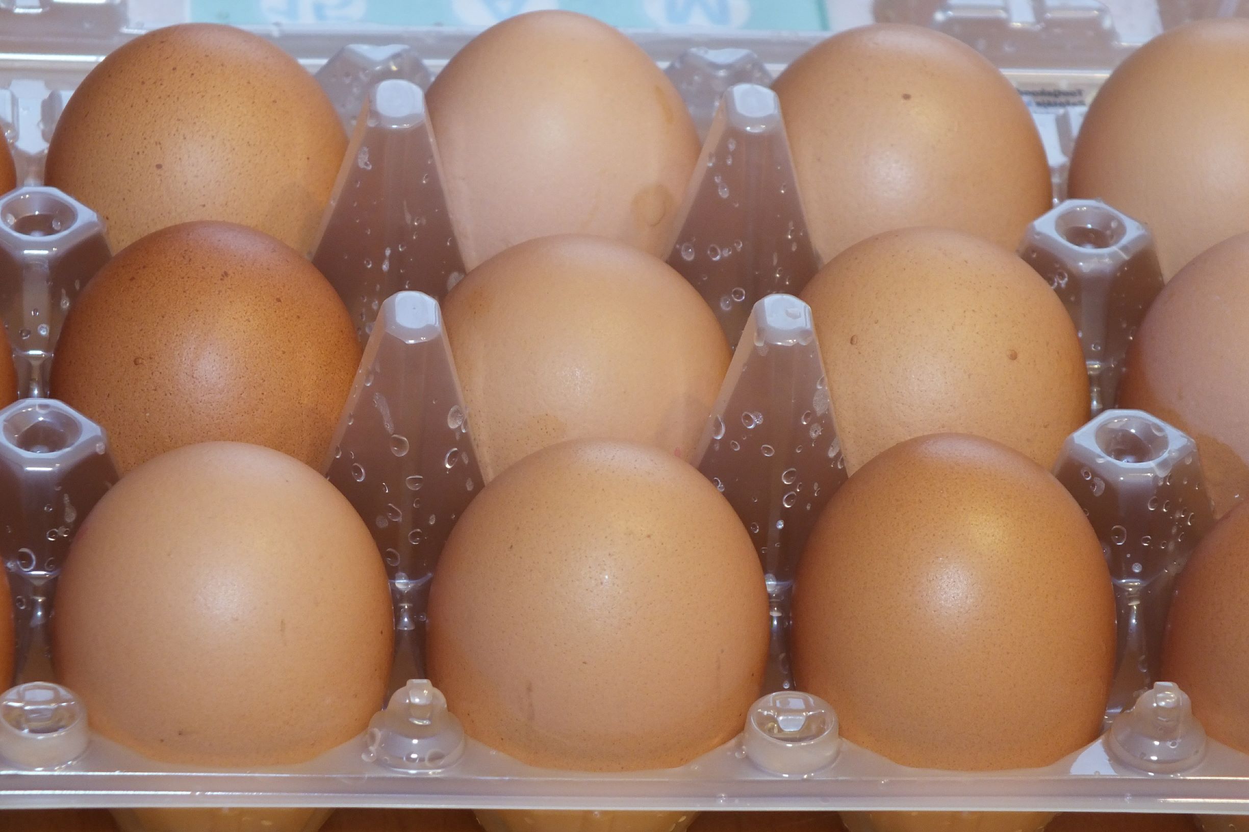 Цены на яйца в странах. Яйцо куриное 9 шт. Яйца 9 штук. Девяток яиц. Российское яйцо.