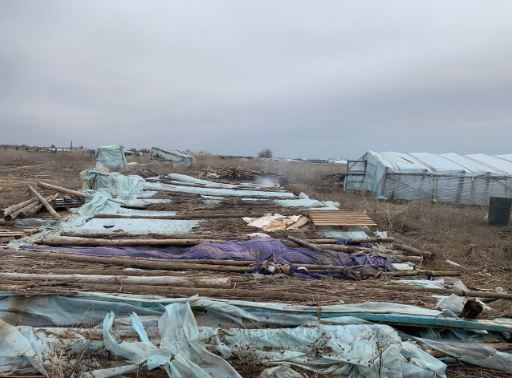 Владимир Ефимов: Ситуация с тепличными хозяйствами в регионе неутешительна