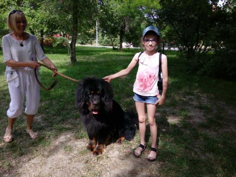 "Милорд, миледи и король": В Волгограде хвостатые модники прошлись по подиуму