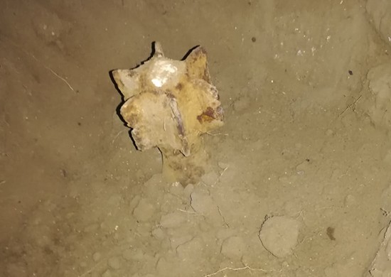 В Калаче-на-Дону во дворе частного дома обнаружили мину