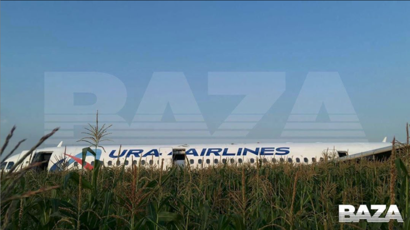 «Спасли 233 жизни»: самолет посадили без шасси на кукурузном поле в Подмосковье