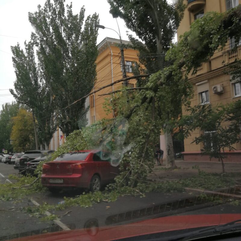 В Волгограде шквалистый ветер повалил дерево на Mitsubishi