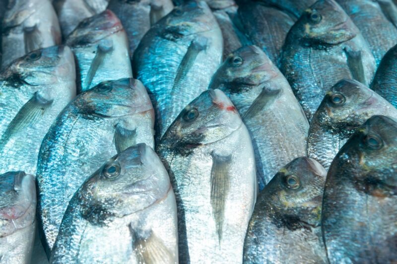 На рынок в Волжском завезли более 300 кило опасной рыбы и раков