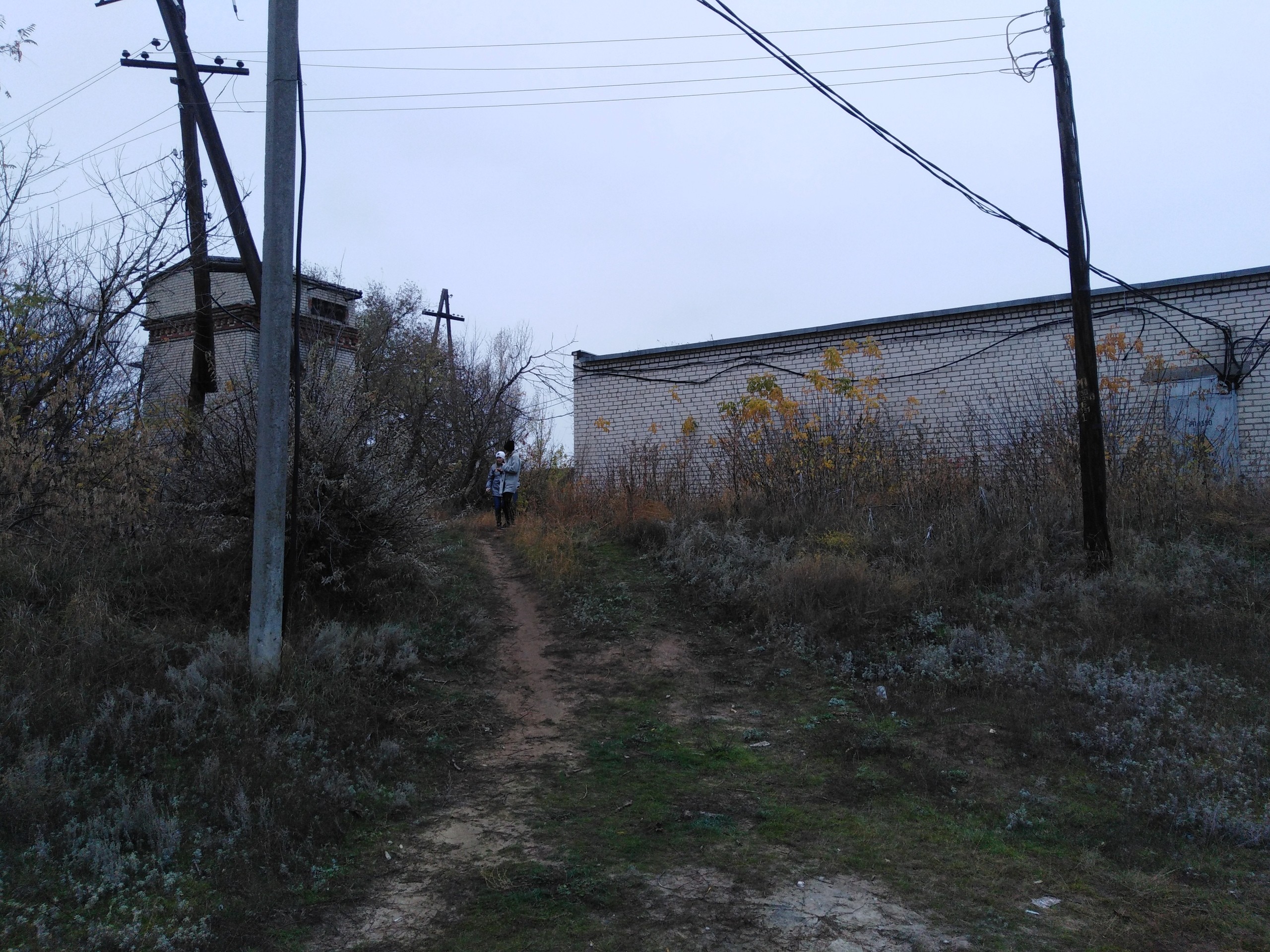Гаражи, овраги, собаки и камыши: Через что проходят волгоградские дети по дороге в школу