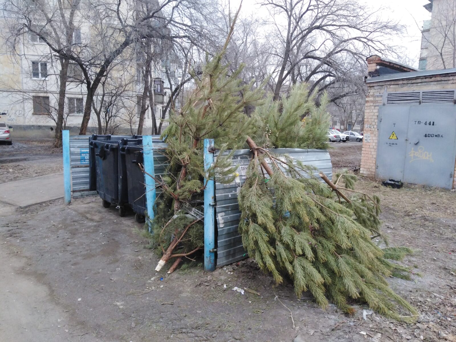 Надо было жаловаться: горы сосен и крупногабаритного мусора с Рождества захламляли дворы Кировского района