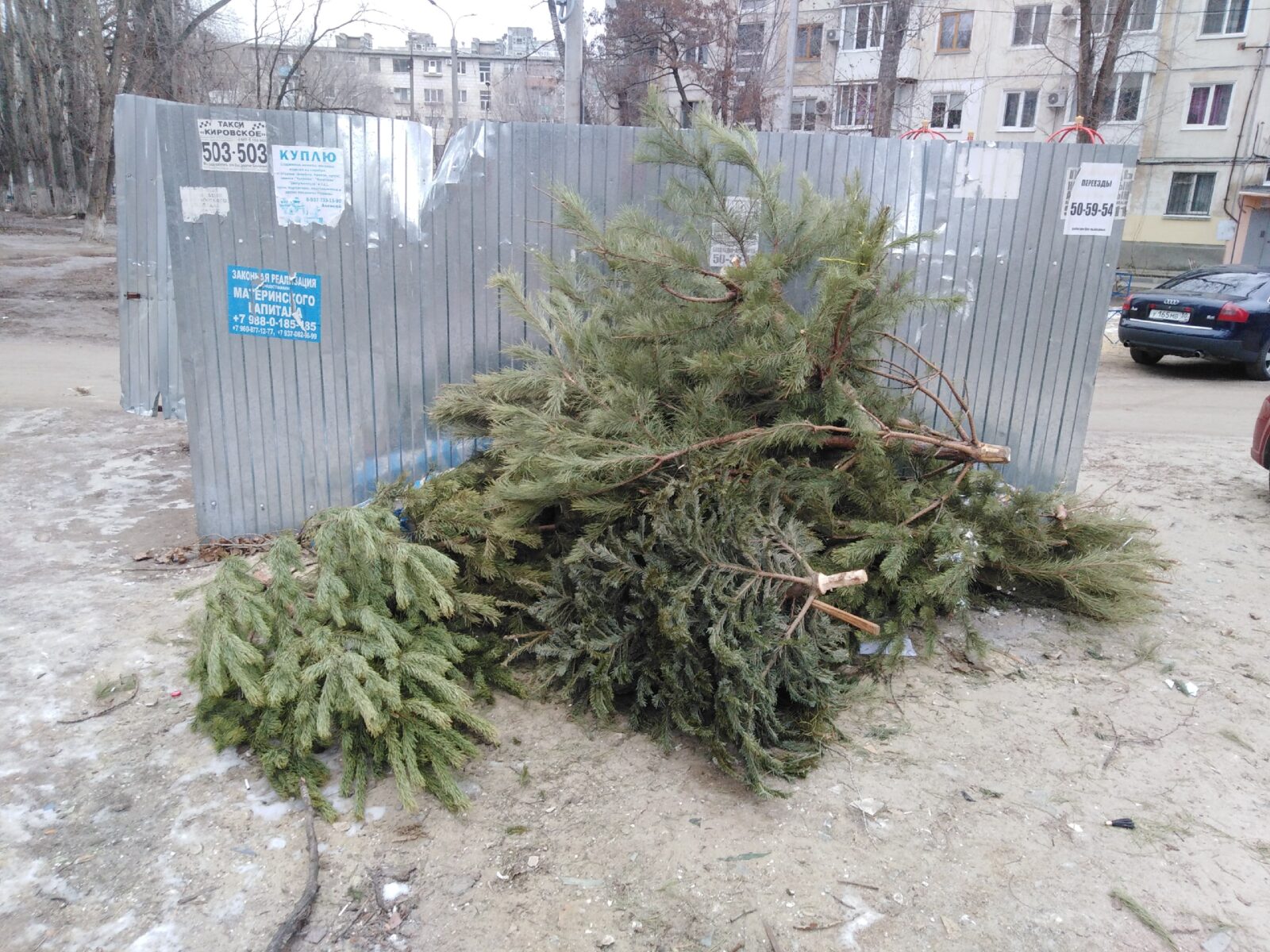 Надо было жаловаться: горы сосен и крупногабаритного мусора с Рождества захламляли дворы Кировского района