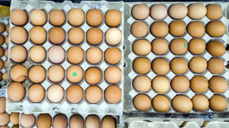 Патрушев: куры уже дешевеют, яйца – начнут после Нового года