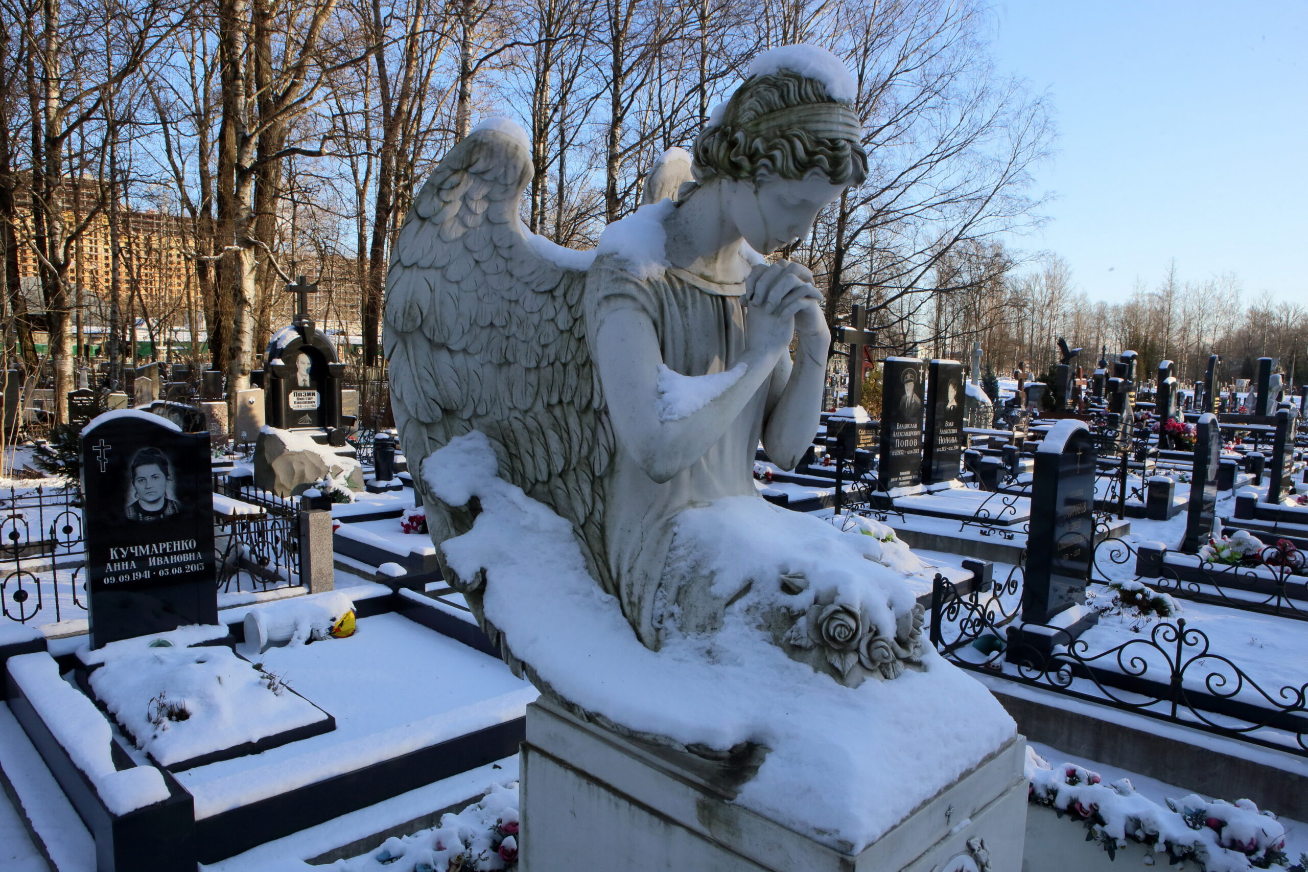 кладбища волгограда фото