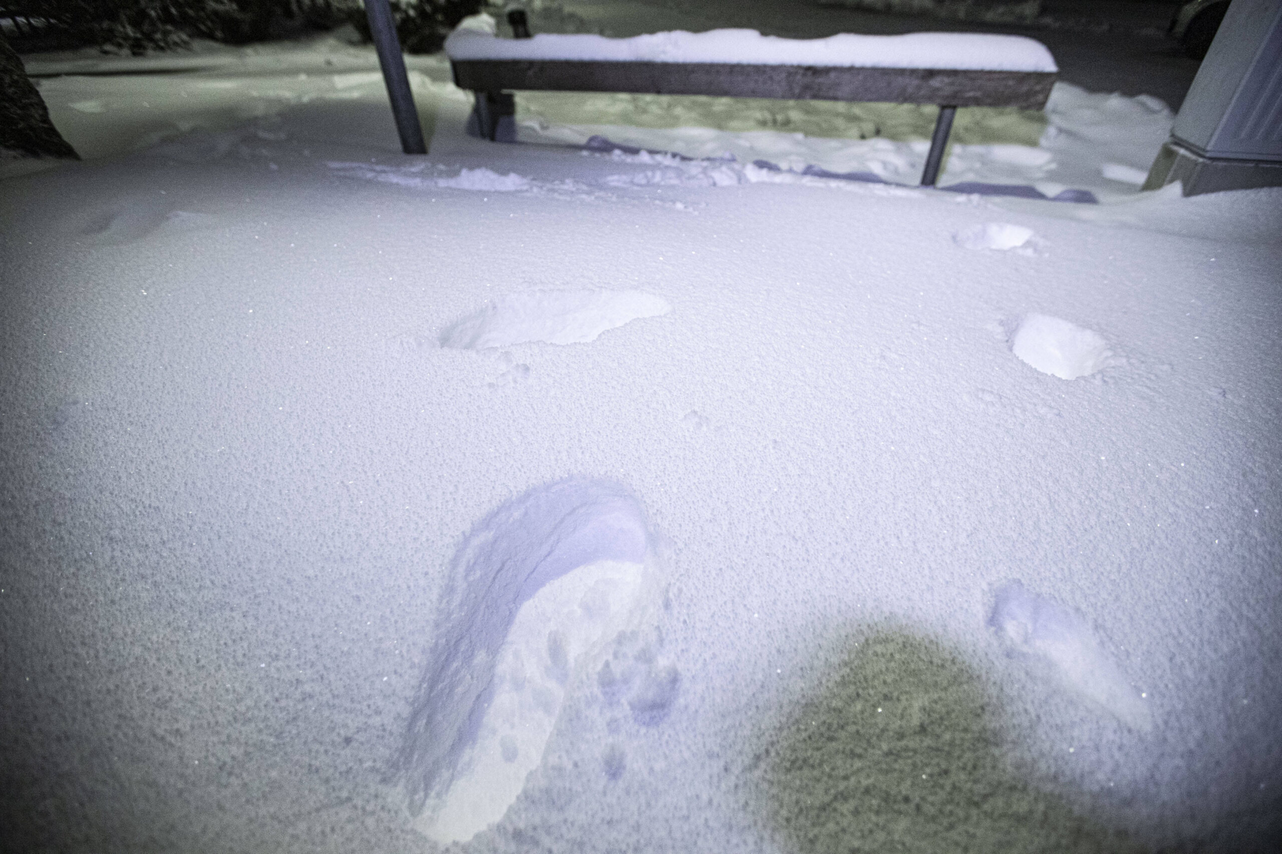 Село качки занесенное снегом оттаивает. Сугробы в Волгограде. Наст из снега. Снег в Волгограде. Влажность снега.