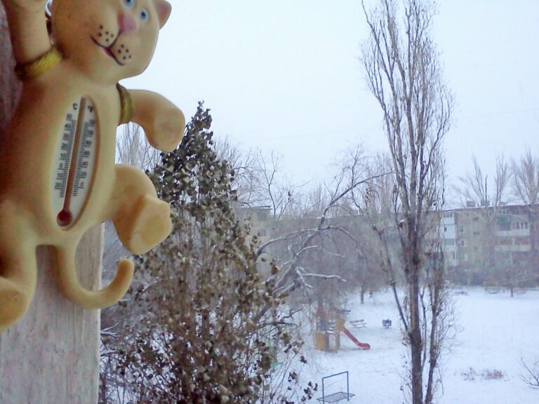 Наступающая неделя в Волгоградской области будет холоднее и ветренее минувшей