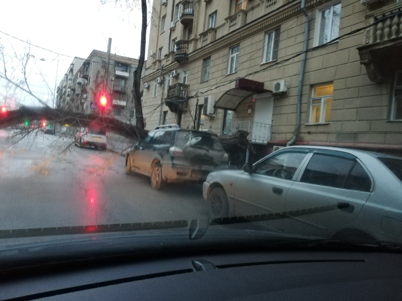На улице Советской дерево рухнуло на припаркованные машины