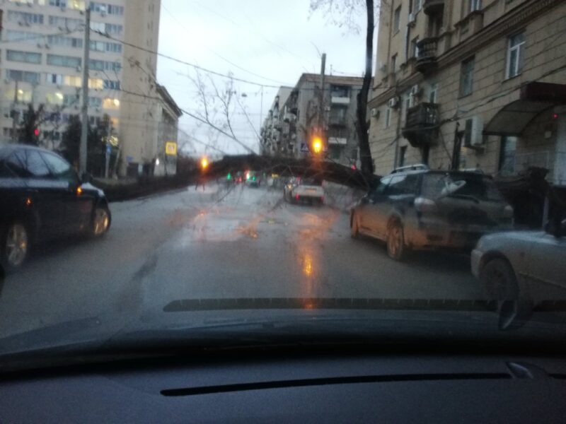 На улице Советской дерево рухнуло на припаркованные машины