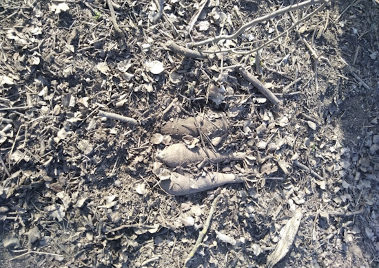 На полигоне Прудбой подорвали мины
