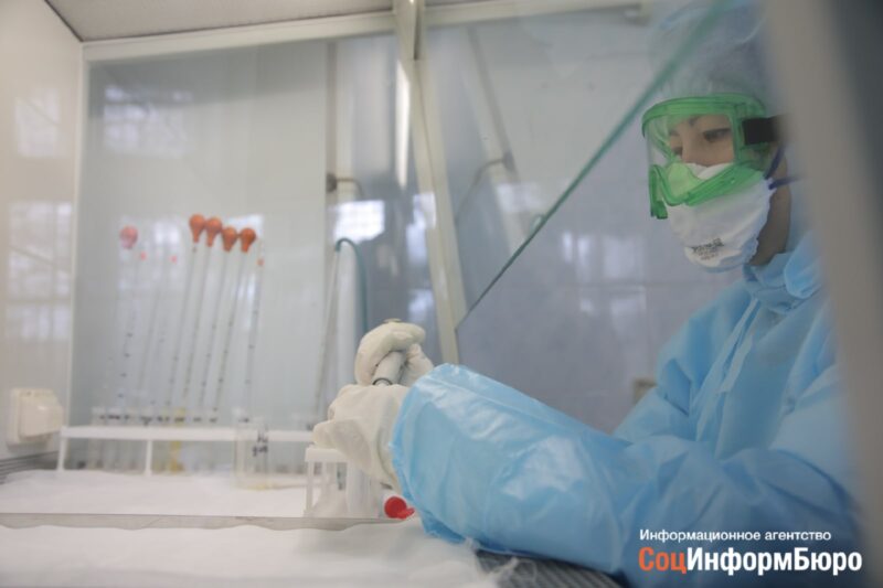 В Волгоградской области третий день подряд растет количество заболевших COVID в сутки