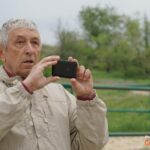 «Бульдозер начинает ломать»: в Волгограде опять сносят конюшни «Соснового бора»