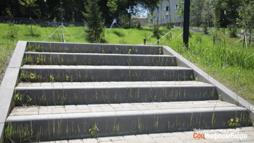 Поросло травой: на заросли травы на лестницах в сквере Пахмутовой никто не обращал внимания
