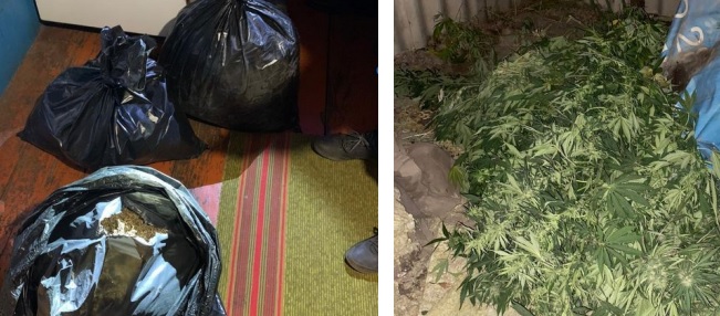 40 килограммов марихуаны изъяли из оборота волгоградские полицейские
