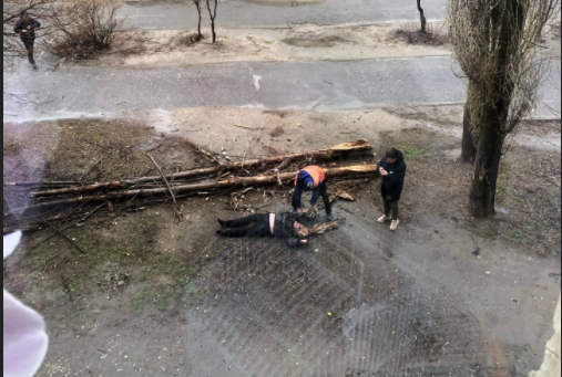 В Тракторозаводском районе Волгограда дерево упало на женщину, а рекламная растяжка на контактную троллейбусную сеть