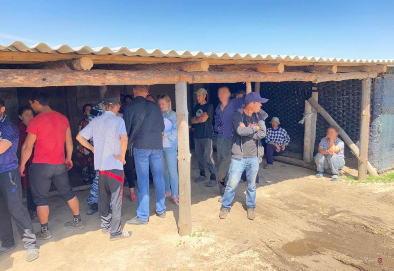 Незаконные мигранты и несанкционированный забор воды для полива выявлены полицией в тепличном хозяйстве Иловлинского района