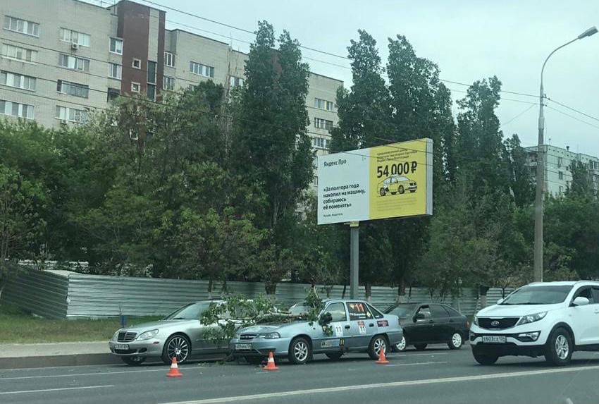В Волгограде дерево упало на учебную машину