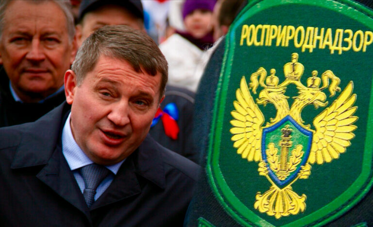 Росприроднадзор не поддержал проект постановления губернатора Бочарова о вырубке парка «Волго-Ахтубинская пойма»