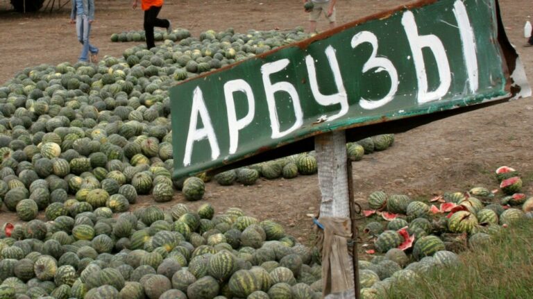 Ввезенные в Волгоградскую область иранские арбузы отправили на проверку