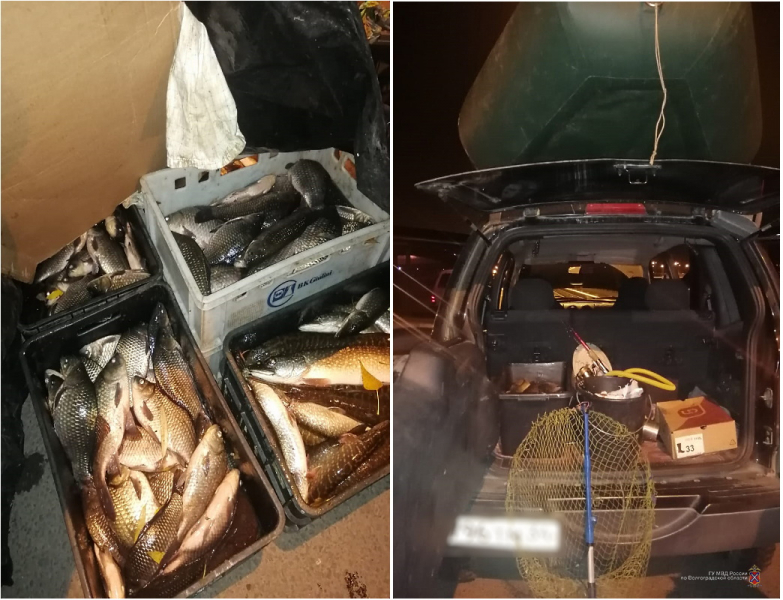 Полиция задержала браконьера с электроудочкой и сотней рыб