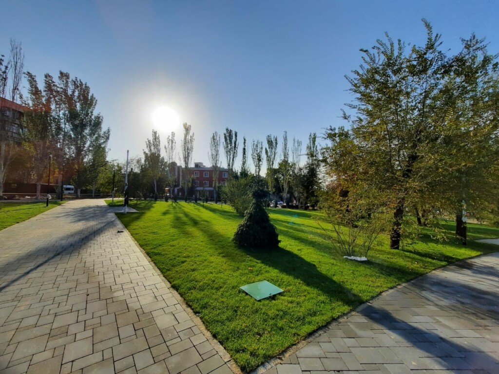 На сэкономленные деньги: сквер имени 8 Марта в центре Волгограда украсят более тысячи деревьев и кустарников