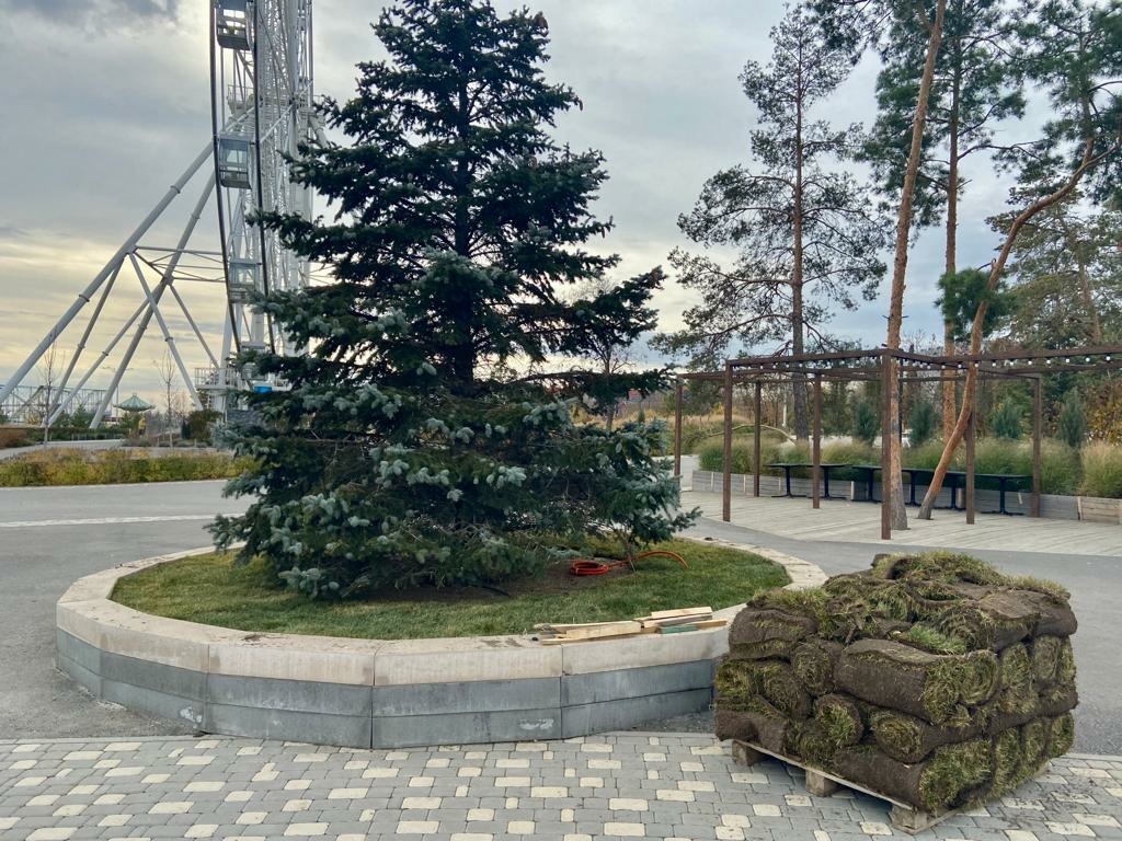 Возле стадиона «Волгоград Арена» появятся зимние горки и каток