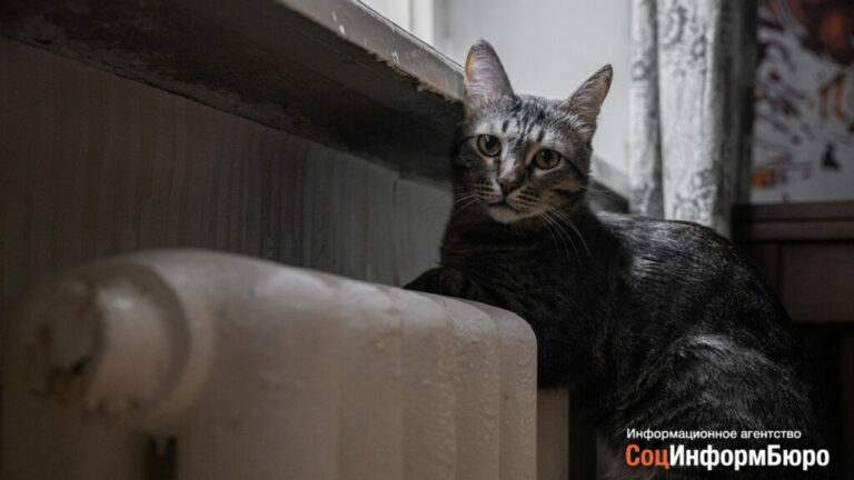 Жители Кировского района остались без тепла второй раз за 6 дней