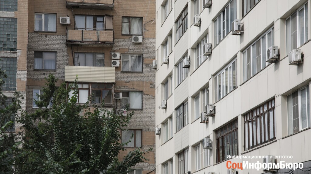 Житель Центрального района Волгограда выкинул с балкона собаку
