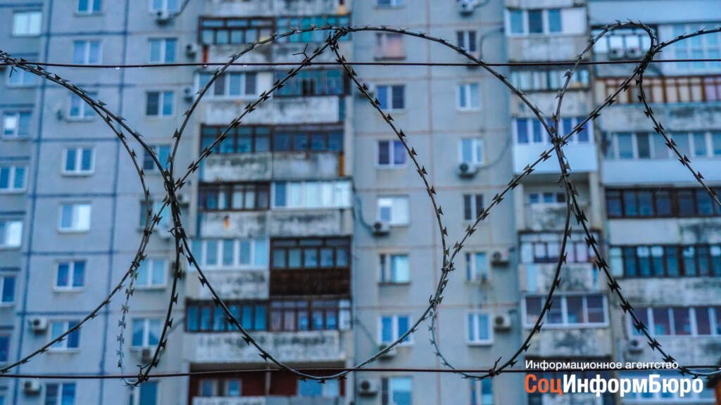 В Волгограде из-за квартиры на улице Розы Люксембург объявили карантин по бешенству