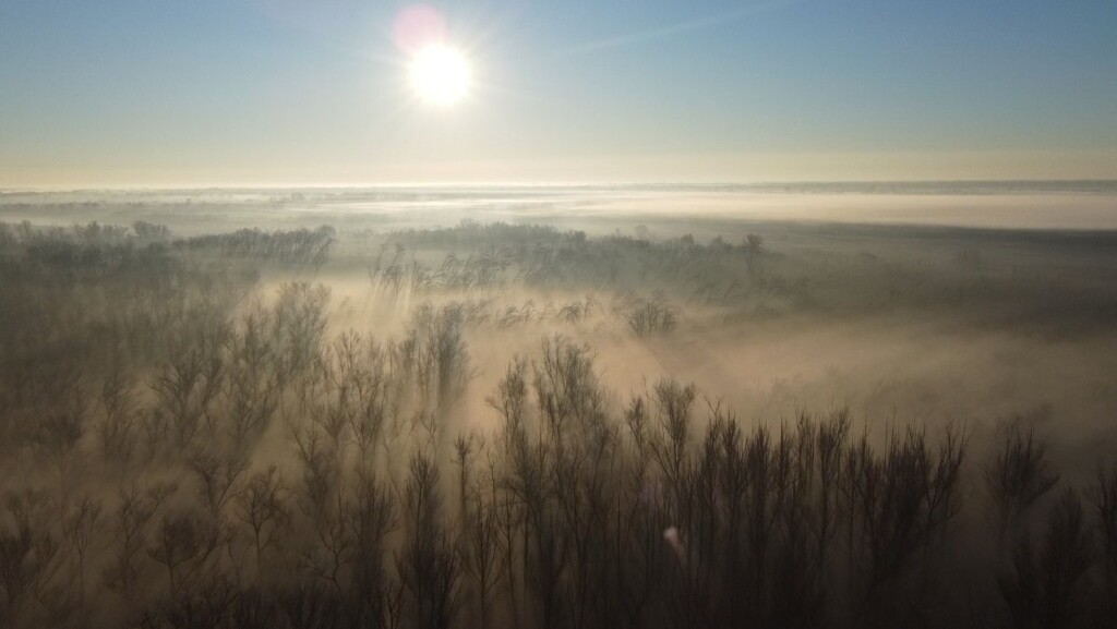 Волгоградец запечатлел завораживающий туман в Волго-Ахтубинской пойме